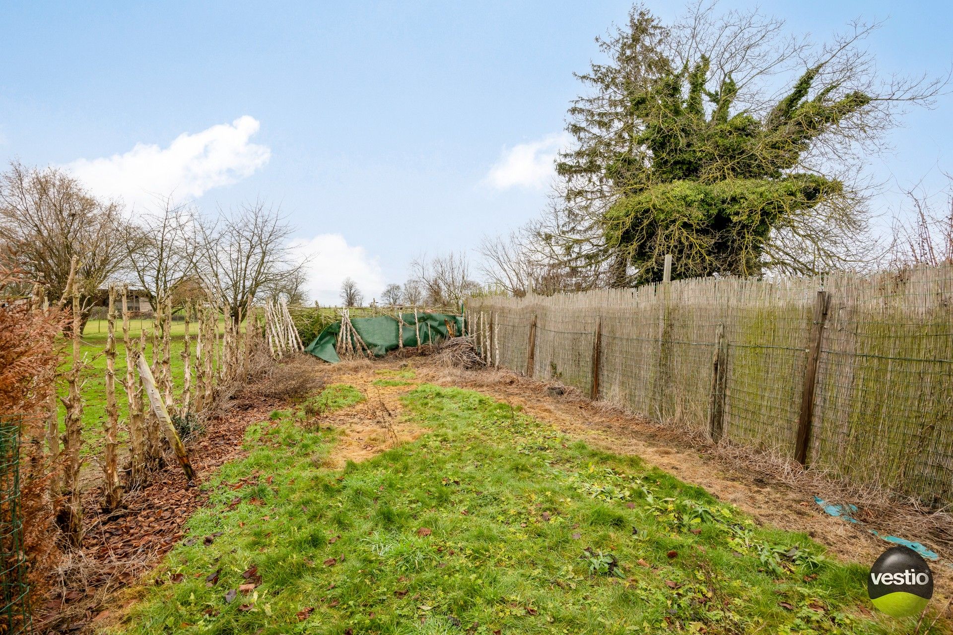 Te renoveren woning met bijgebouwen in het rustige centrum van Bevingen (Sint-Truiden) foto 6