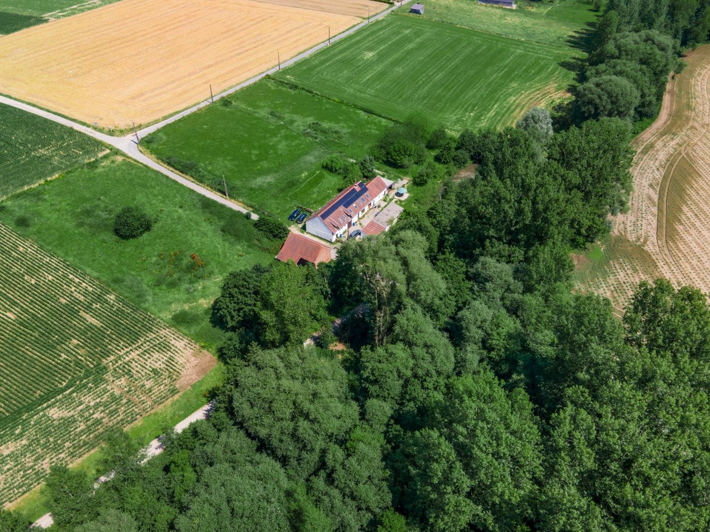 Unieke Oase van Rust met Paardenpiste en Natuurpracht op 15.000m2 te Mollem. foto 6