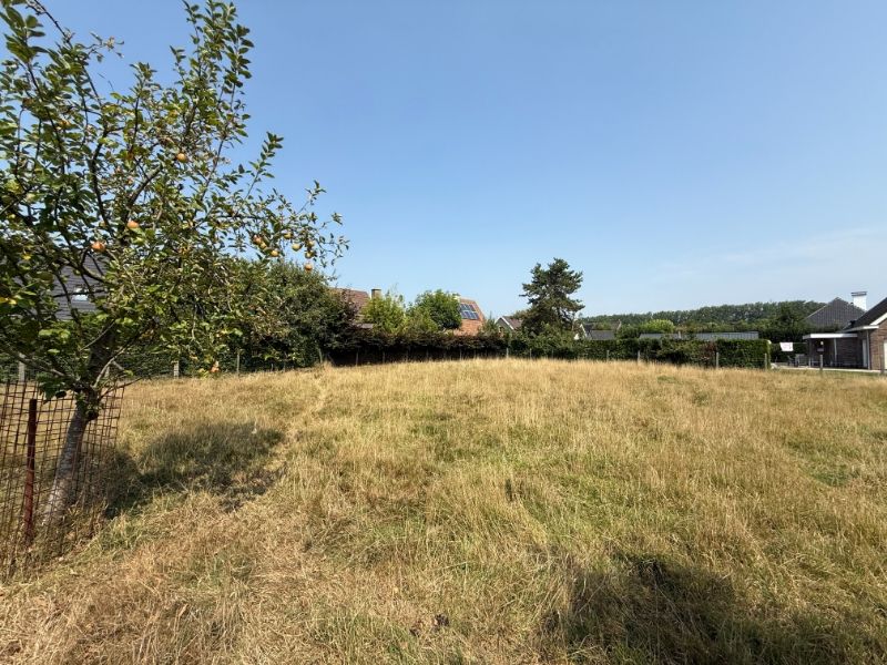 Mooi perceel bouwgrond in het charmante Vinderhoute (933 m²) foto 5