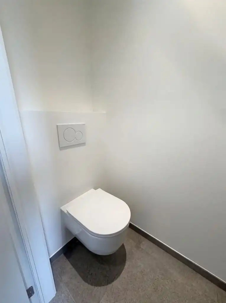 Prachtige, volledig gerenoveerde woning met 3 slaapkamers, vrijstaande garage, omheinde tuin en 20 zonnepanelen in Kinrooi.  foto 11