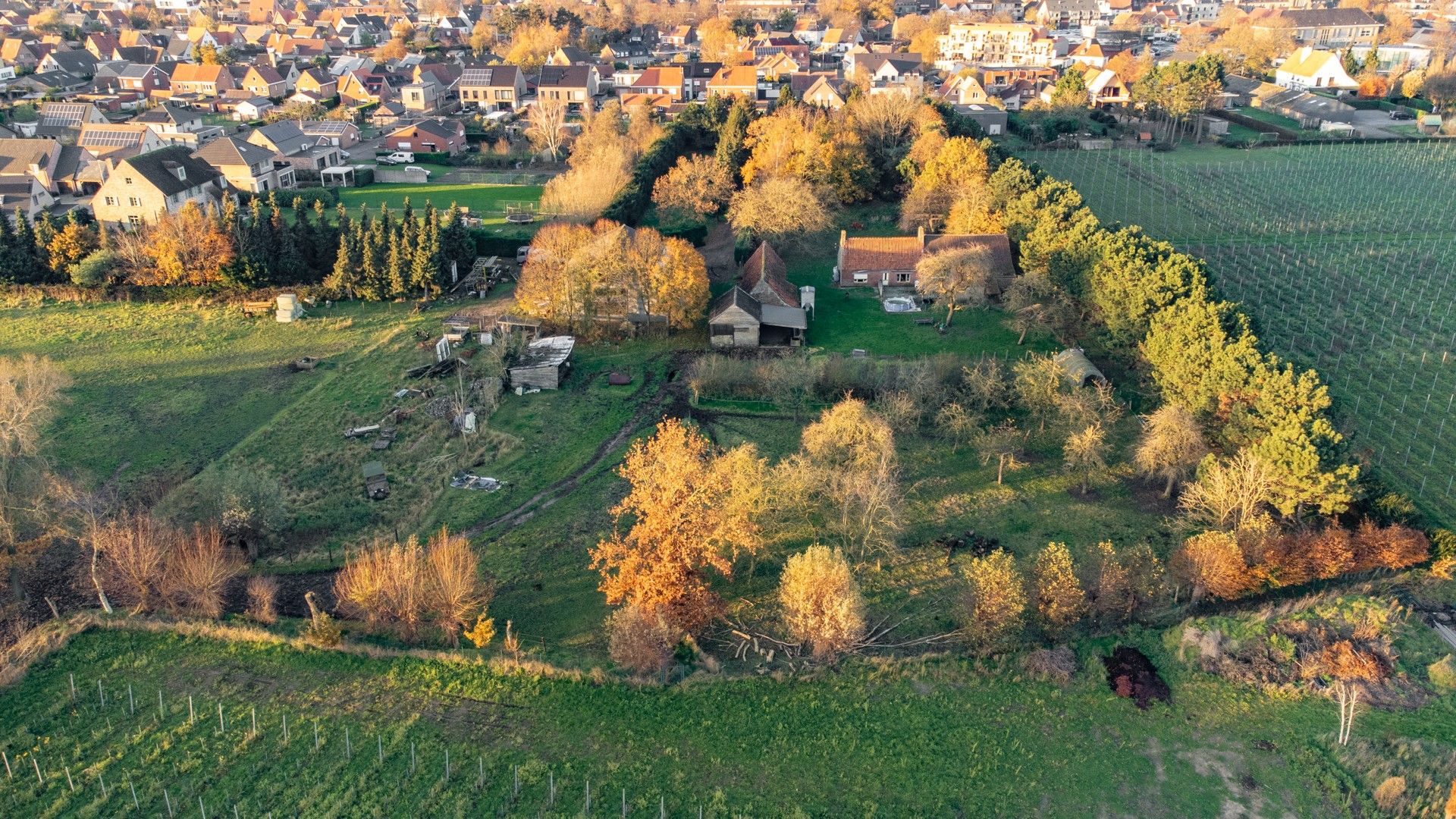 Uitzonderlijk gelegen hoeve op 3,5 ha foto 2