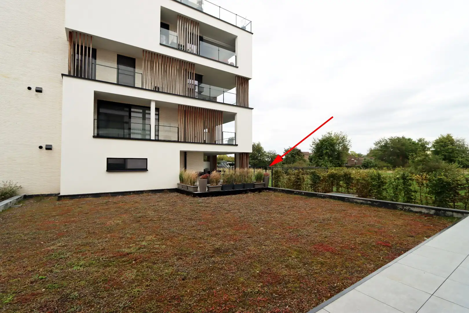 Gelijkvloers appartement met tuintje, terras, autostandplaats en kelderberging in hartje Maaseik  foto 2