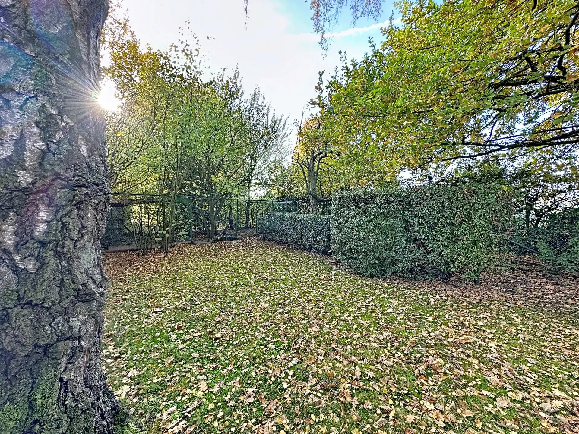 Zeer ruim en luxueus appartement met 2 slaapkamers, terras, tuin en overdekte staanplaats. foto 40