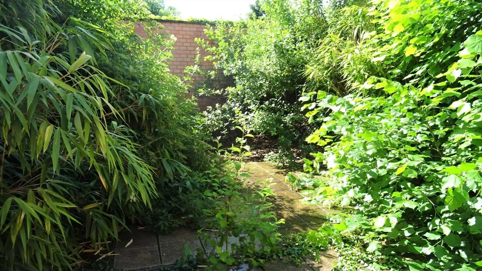 Zeer goed gelegen commerciële ruimte van ca. 129m² foto 7