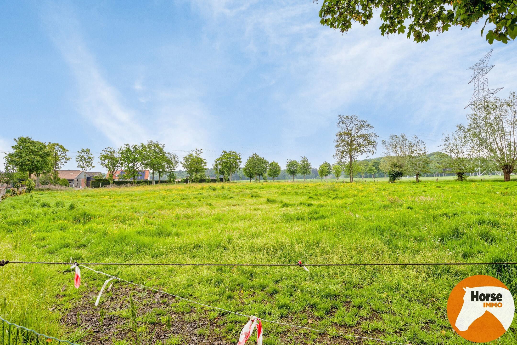 JABBEKE - Luxueuze paardenaccommodatie met woning foto 44