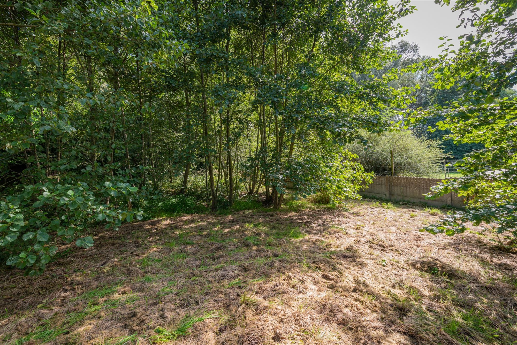 Kasteel Villa Ferrata met 3 vergunde appartementen foto 10