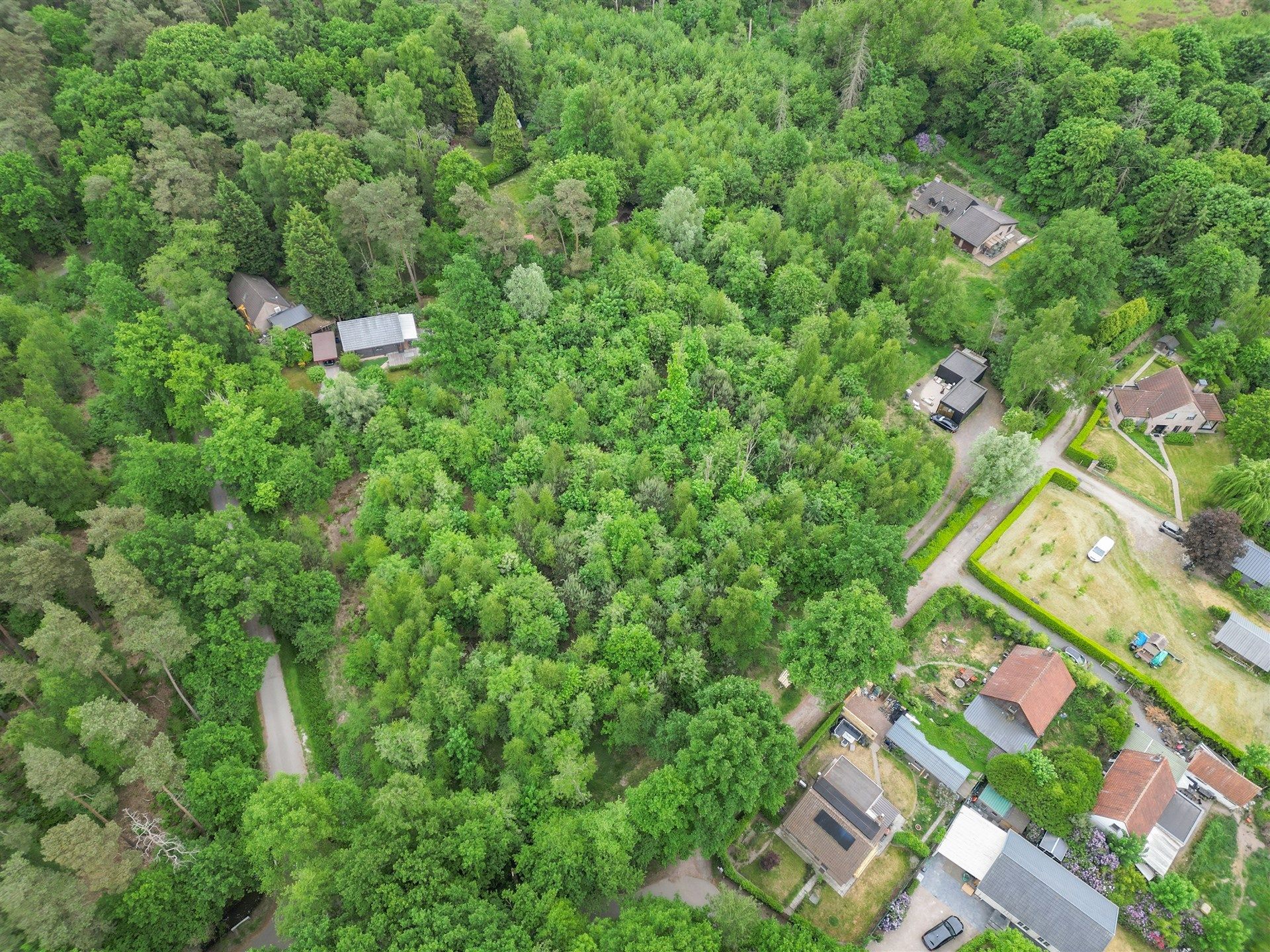 Goed gelegen bos van 2091m² foto 4