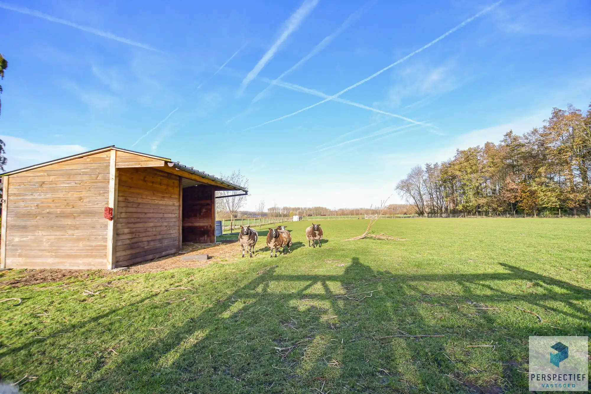 Landelijke woning met een magazijn, schuur en weide op 10&nbsp;224m² foto 12