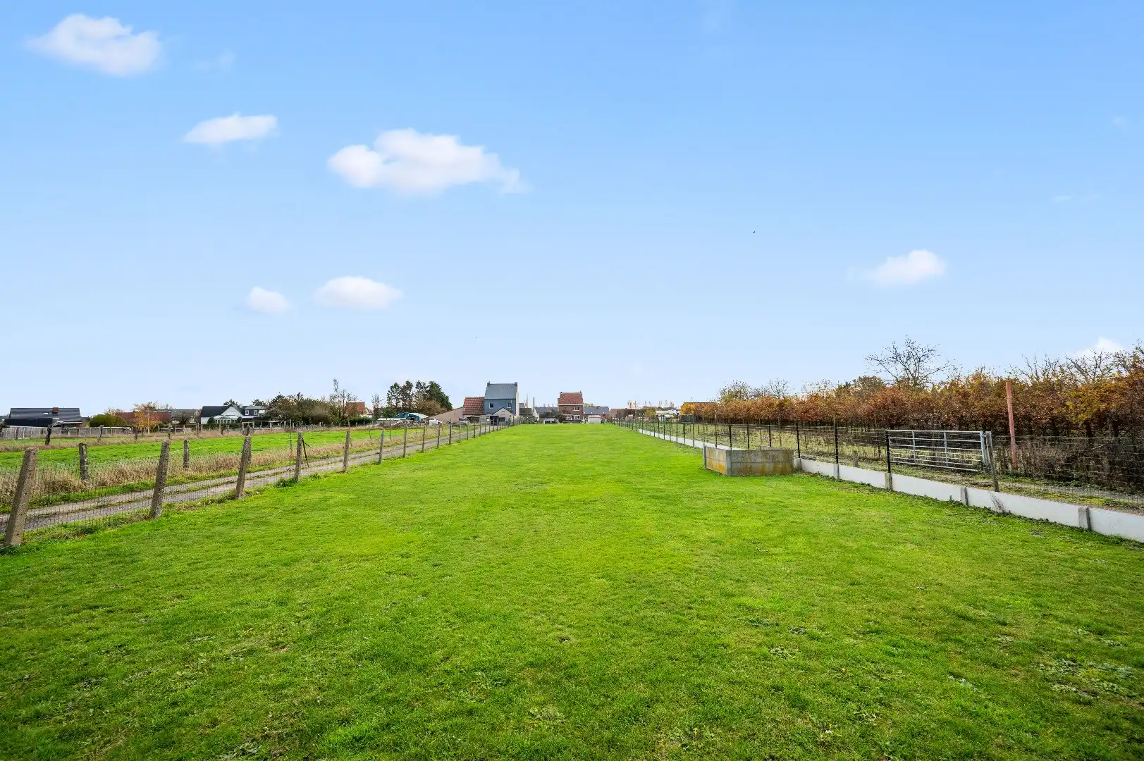 Open bebouwing op een riant perceel te Bekkevoort foto 22