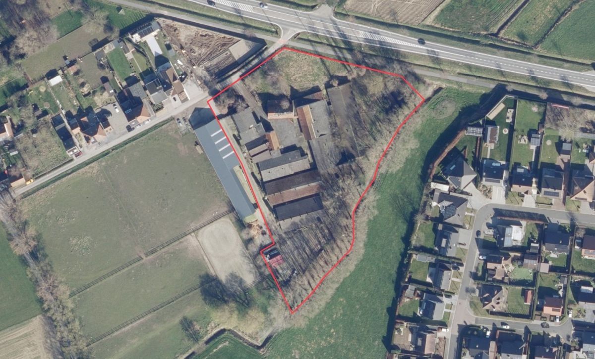 Varkensbedrijf te koop te Bavikhove foto 5