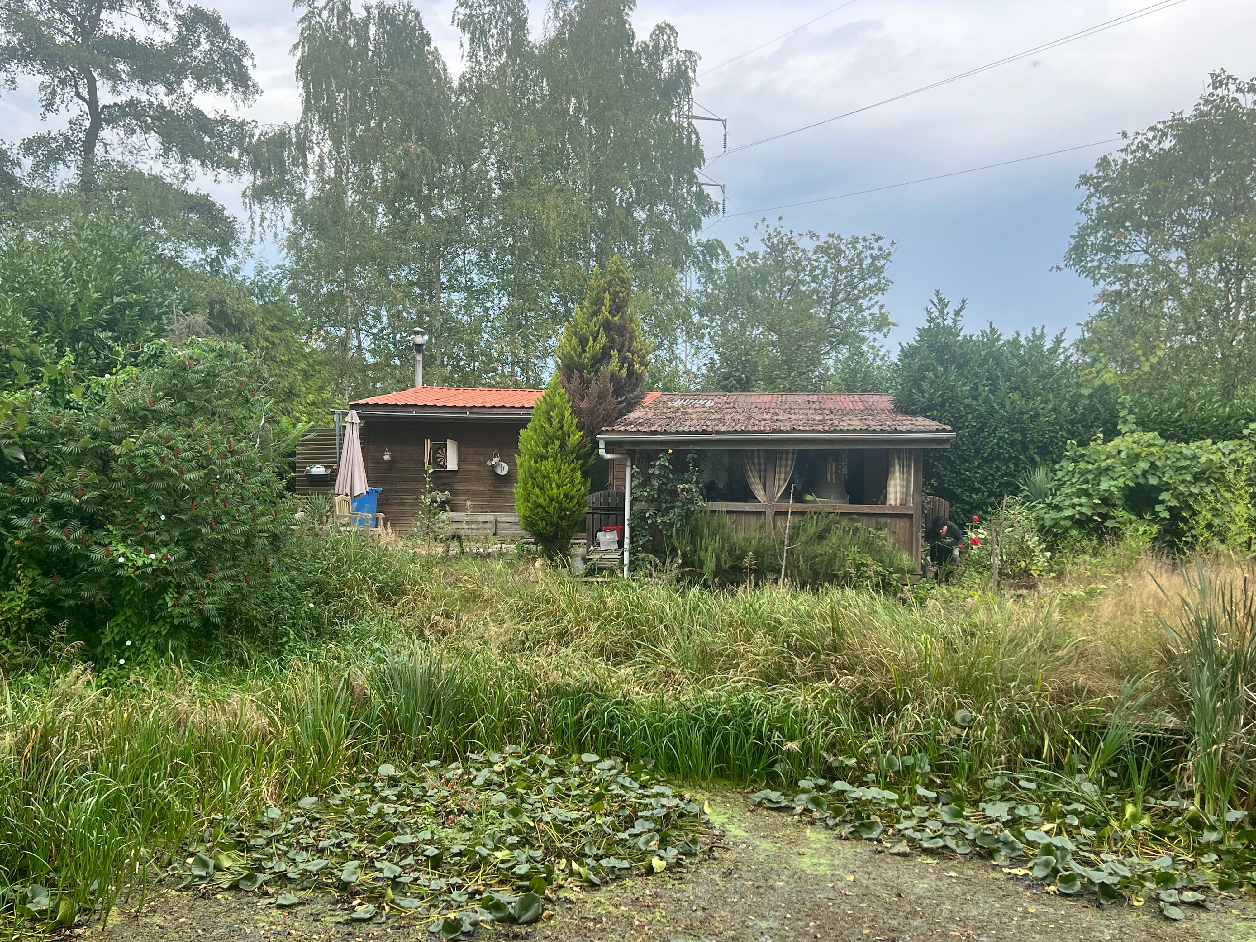 Hoofdfoto van de publicatie: Gezellige chalet met vijver op een perceel van 1.965 m².