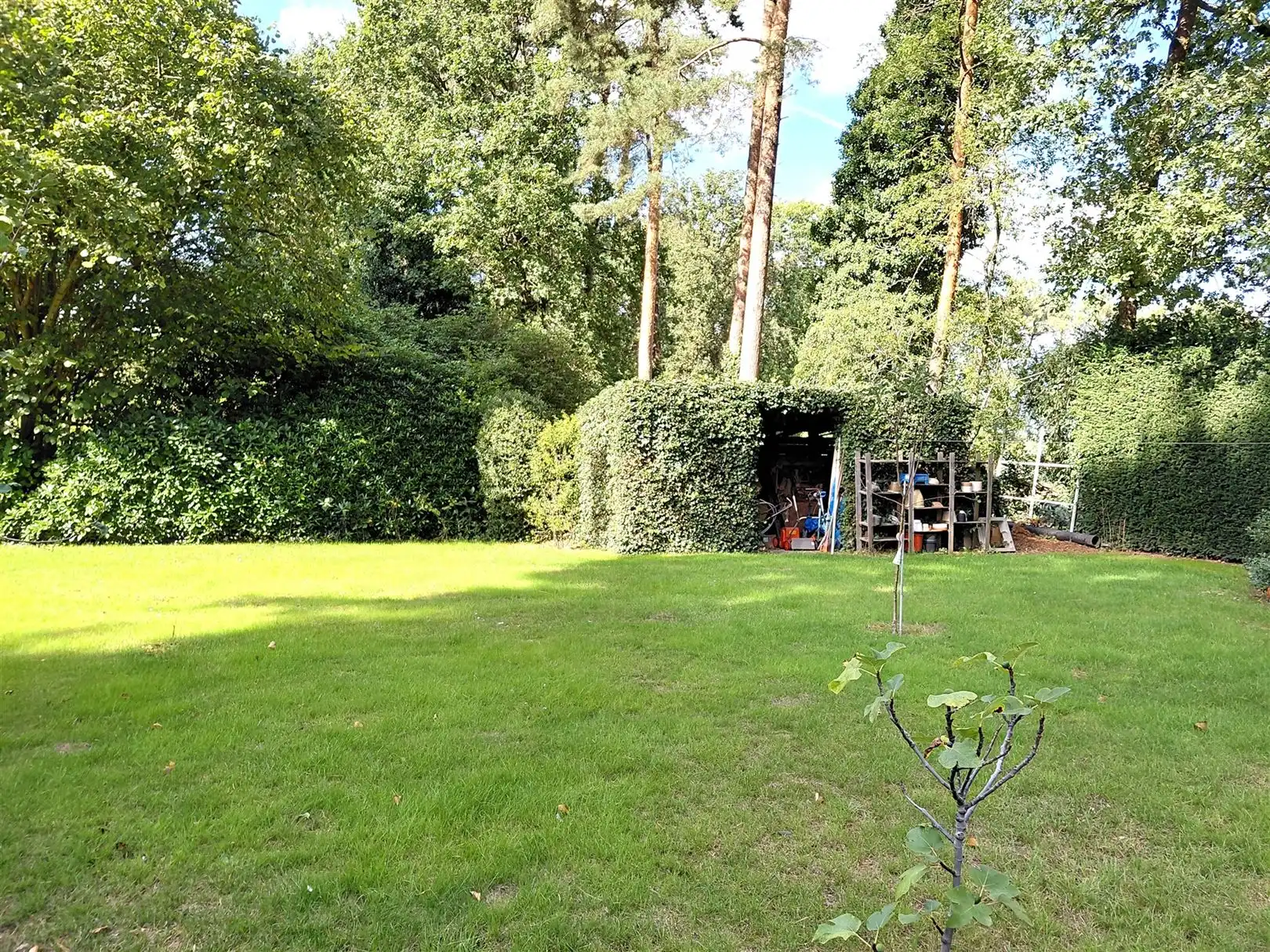 TE HUUR: Unieke woning met 3 slaapkamers en prachtige tuin te Houthalen! foto 30