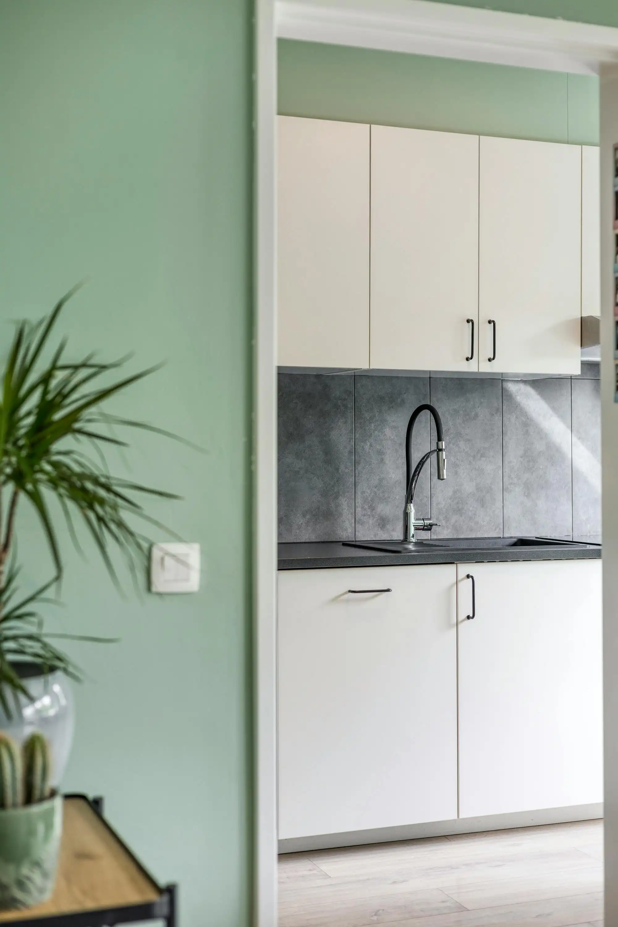 Lichtrijk appartement met garage op toplocatie in Brasschaat foto 5