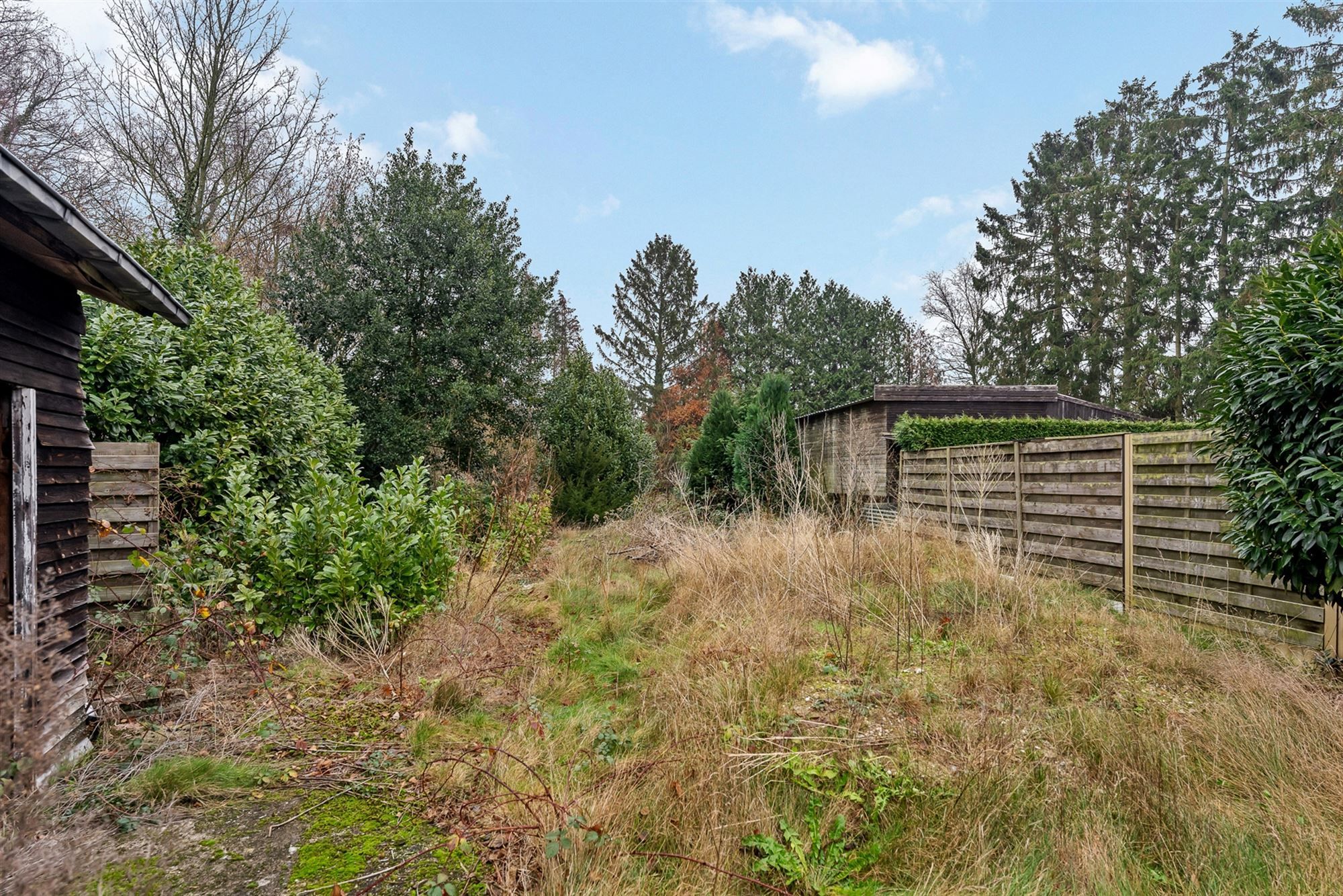 RENOVATIEPROJECT VOOR OPEN BEBOUWING OP RUIM PERCEEL VAN 11A31CA TE ZOLDER foto 4