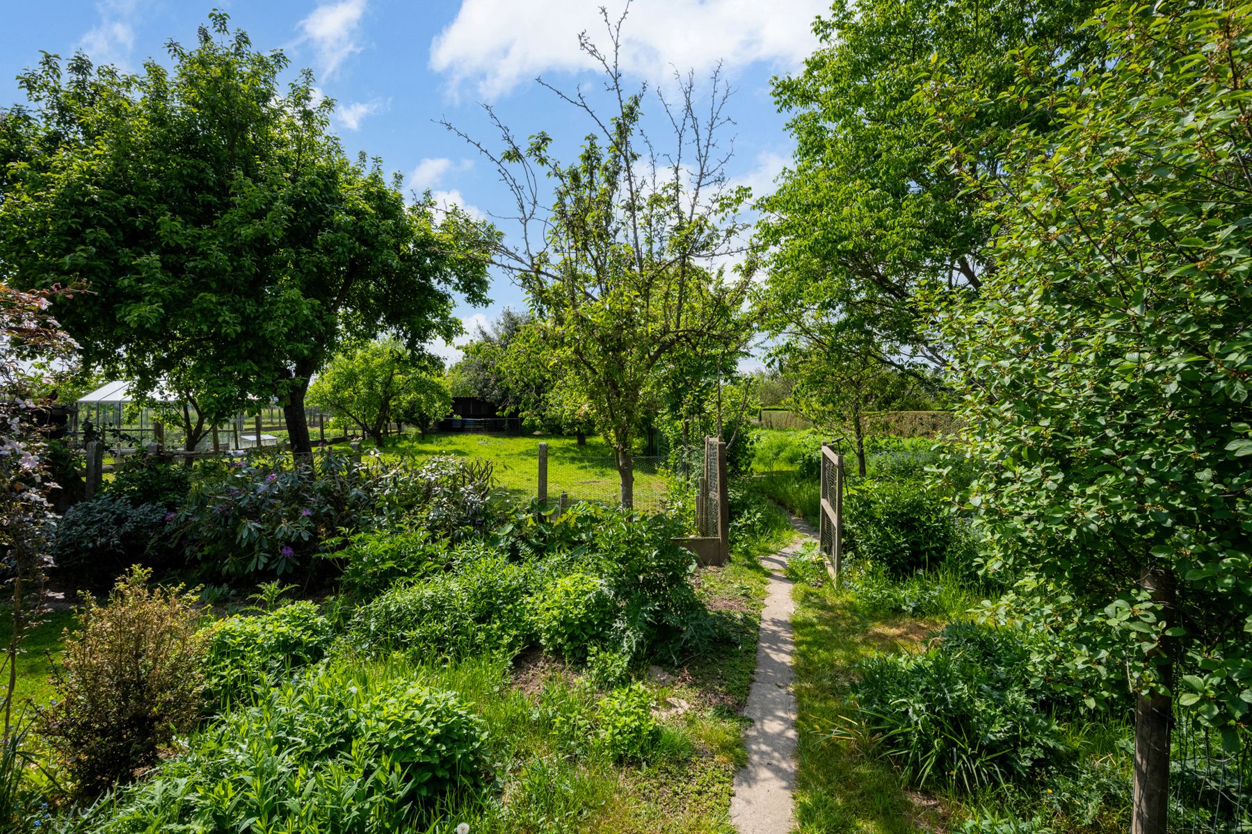 Charmante fermette op perceel van 1548m² mooie tuin + oprit! foto 4