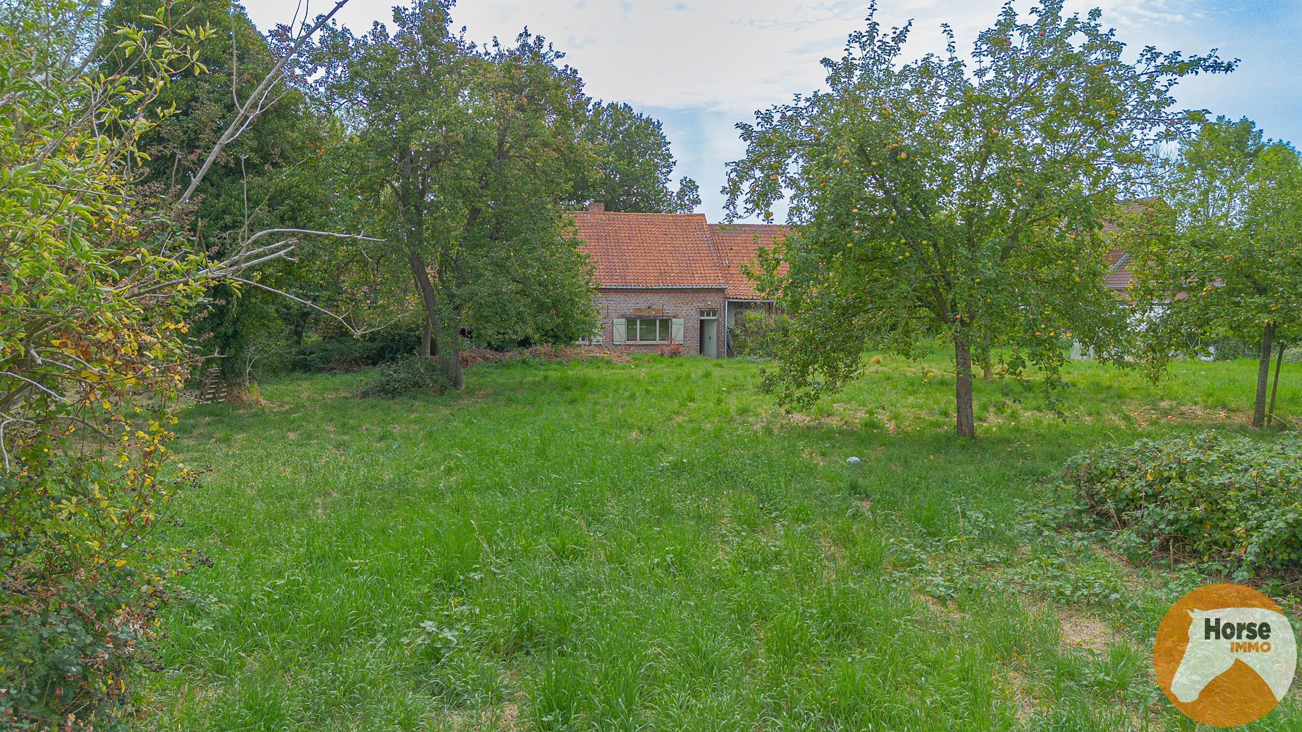 AAIGEM - Prachtige vierkantshoeve foto 8