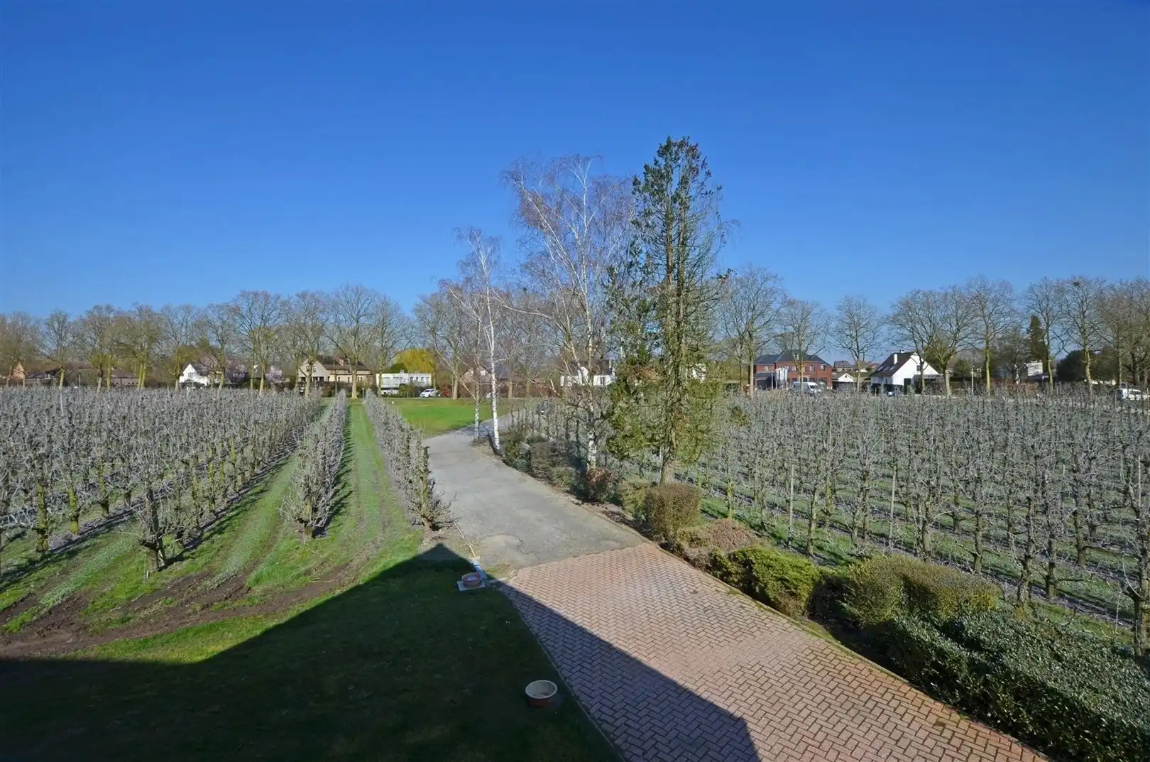 Villa + voorgelegen bouwgrond in residentiële straat  foto 5
