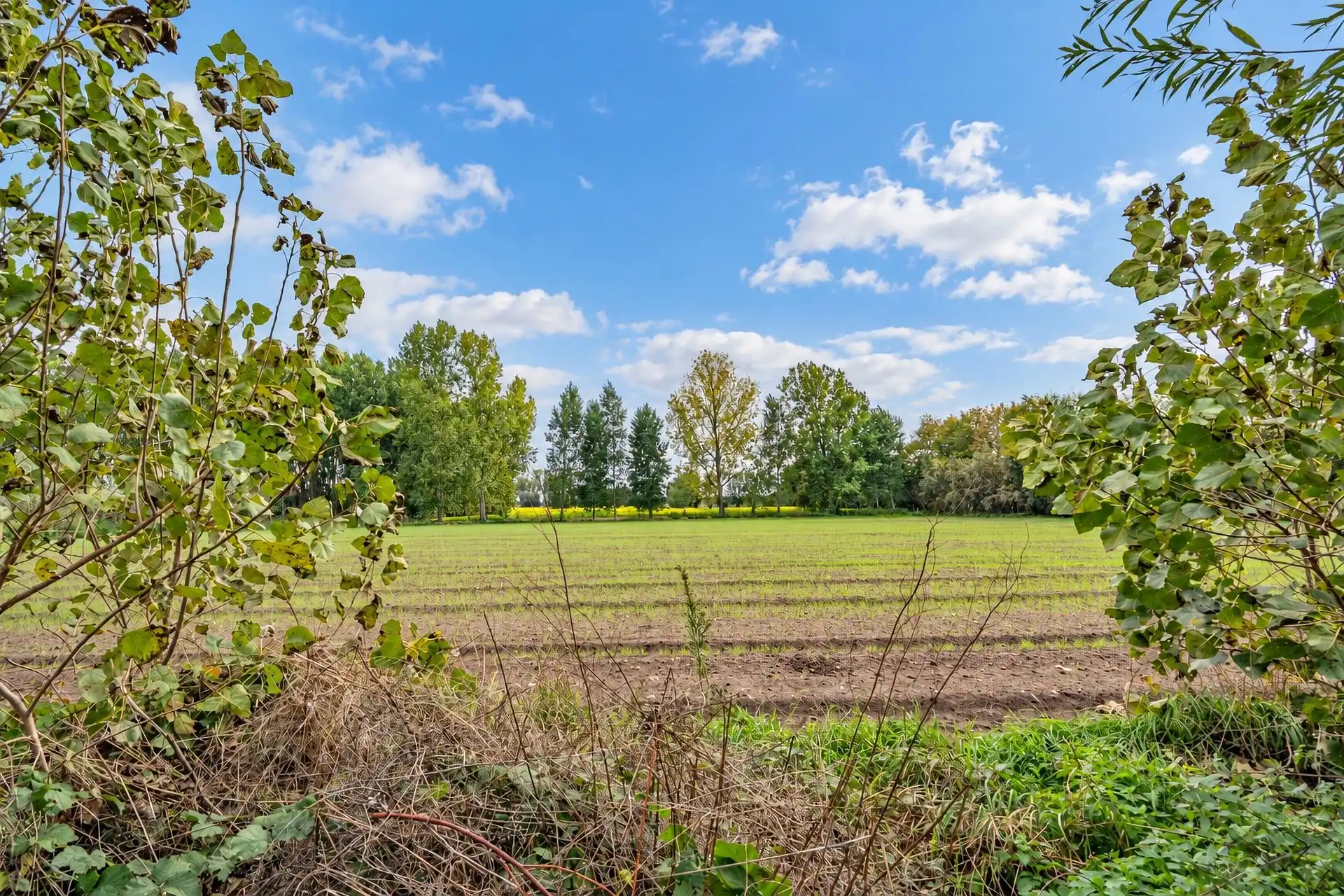 Agrarisch perceel van 5.369 m² foto 4