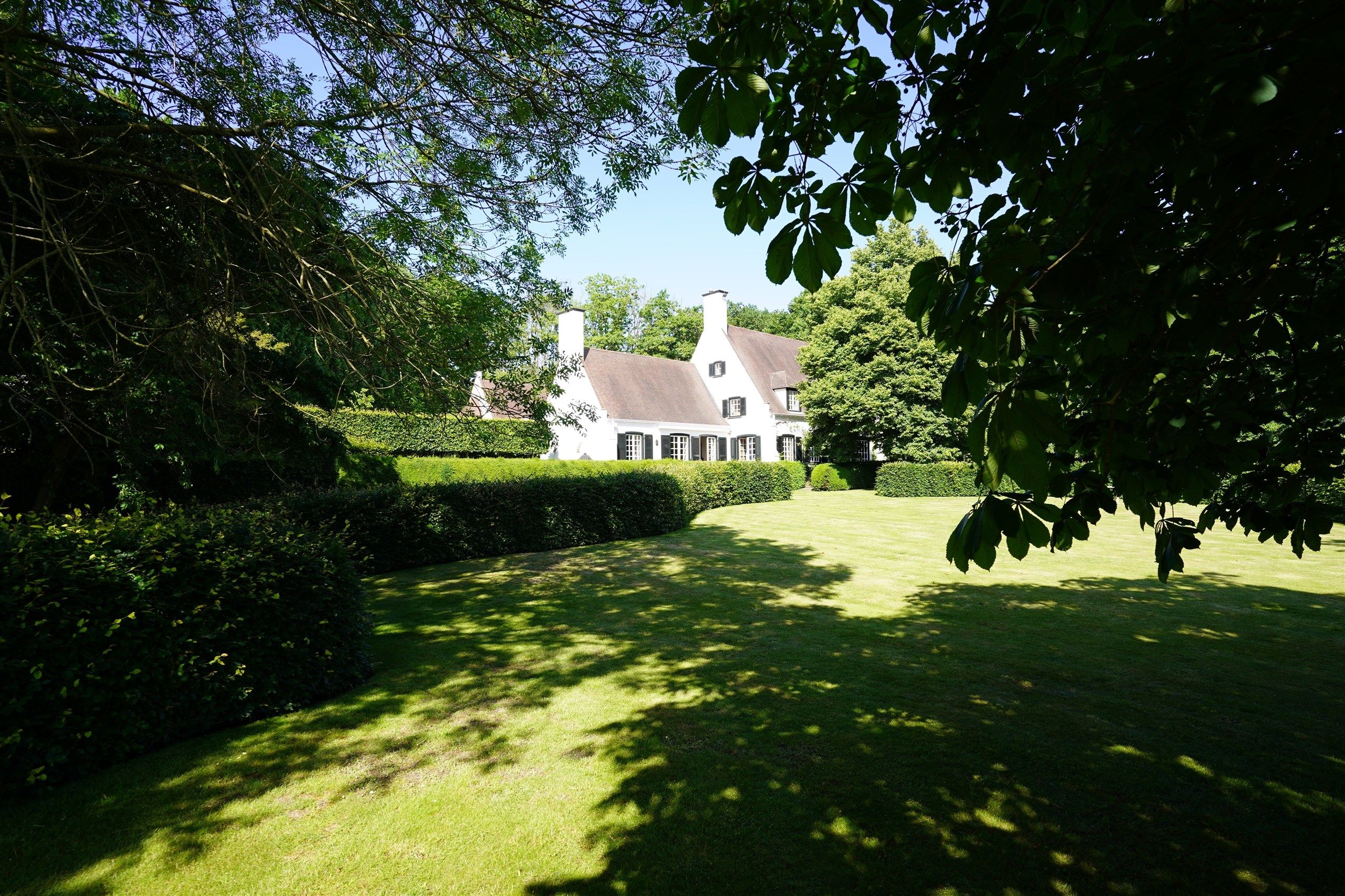 Bellegem bos: uitzonderlijk, waardevol landgoed! foto 7