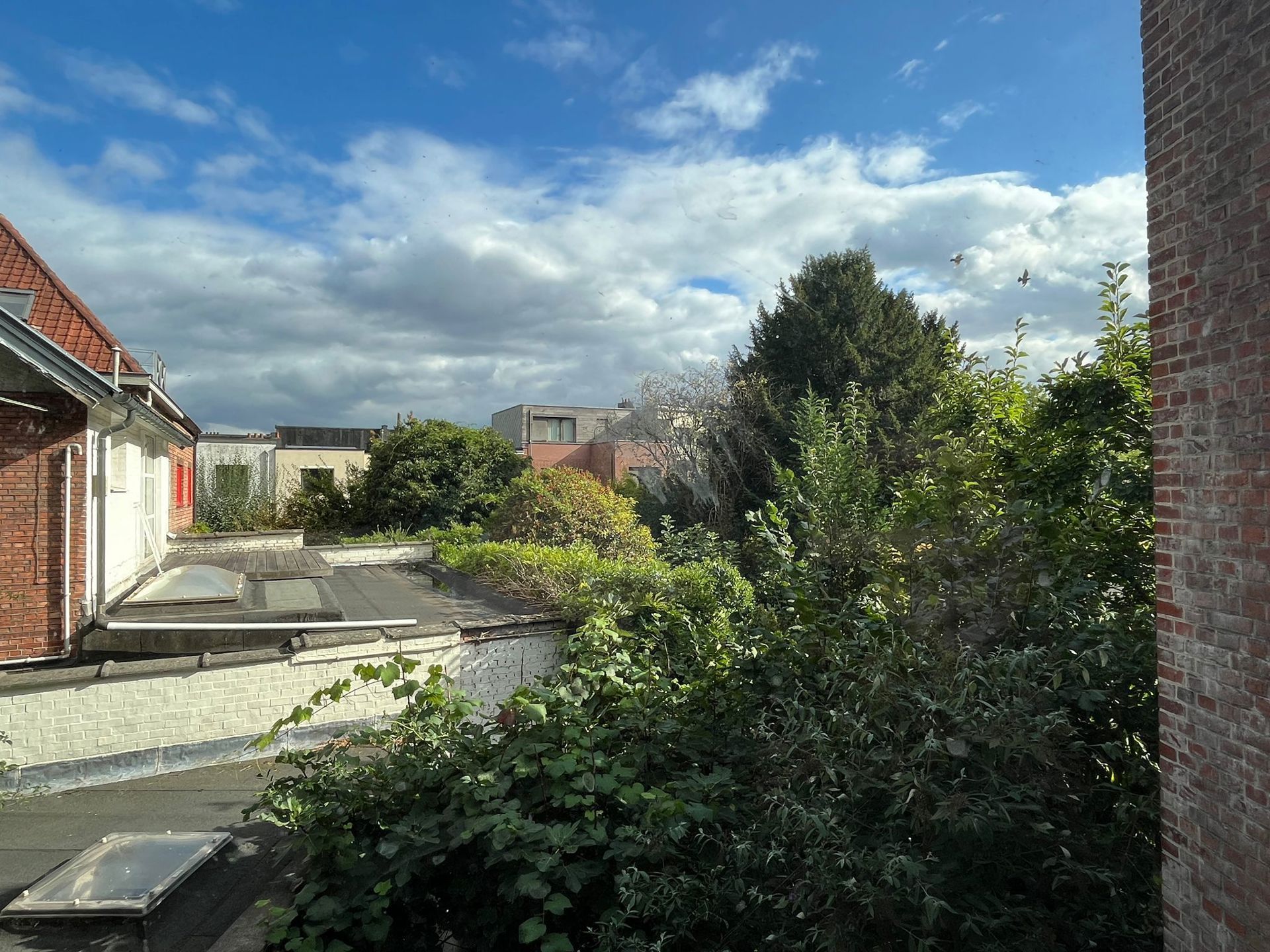 Prachtig appartement met uitzicht op het Boelaarpark. foto 6