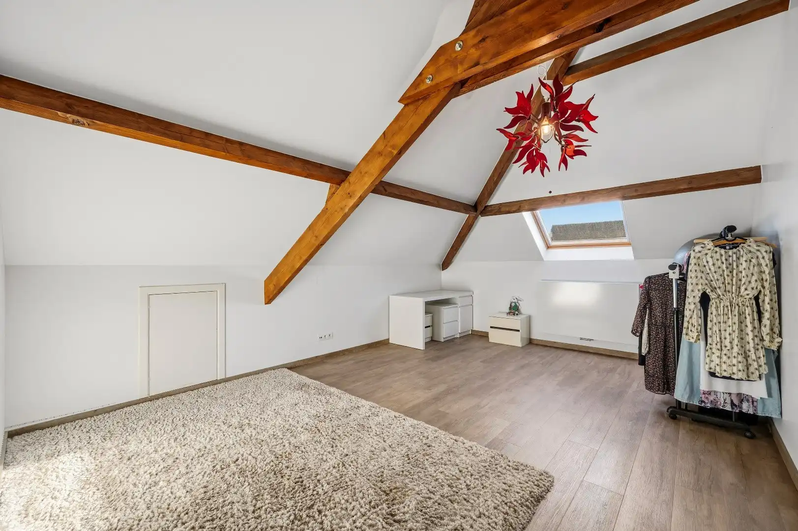 Instapklare open bebouwing met veel ruimte en mogelijkheden in Tienen foto 17