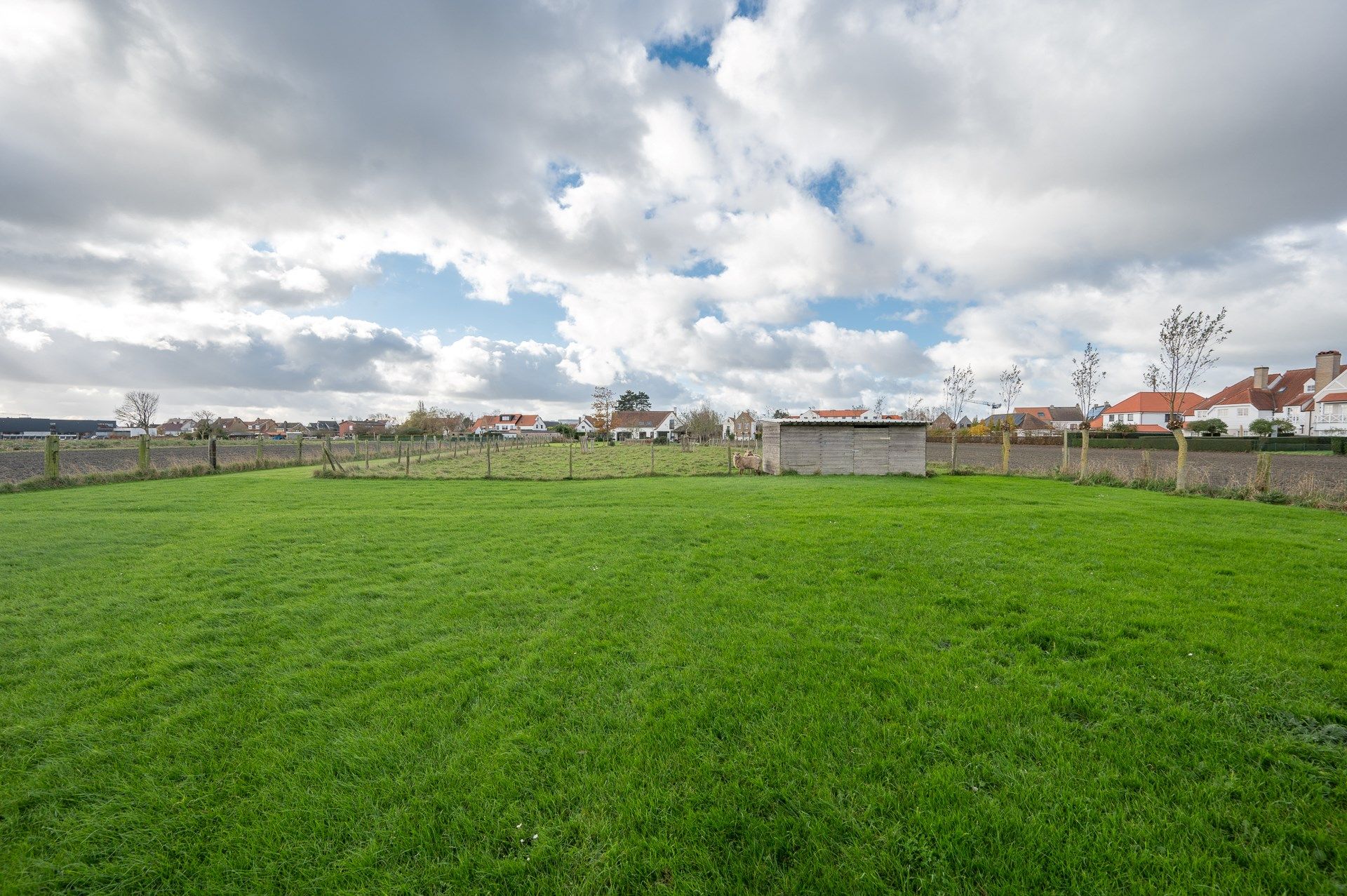 Charmante hoeve met volledig ingericht atelier gelegen op een perceel van ongeveer 5.500 m². foto 37