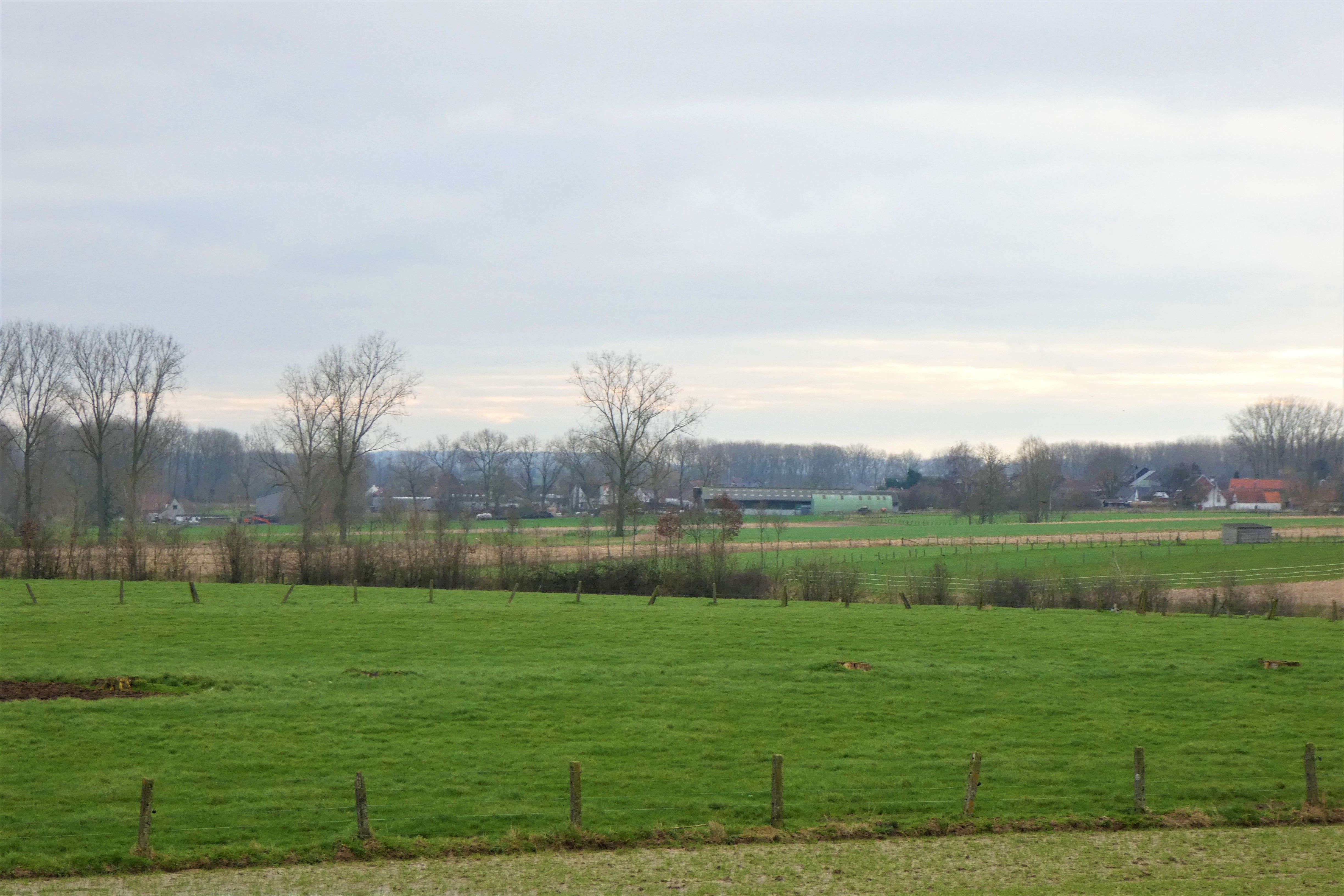 Vrijstaande woning op 705m² met mooie tuin, terras en landelijk uitzicht.  foto 7