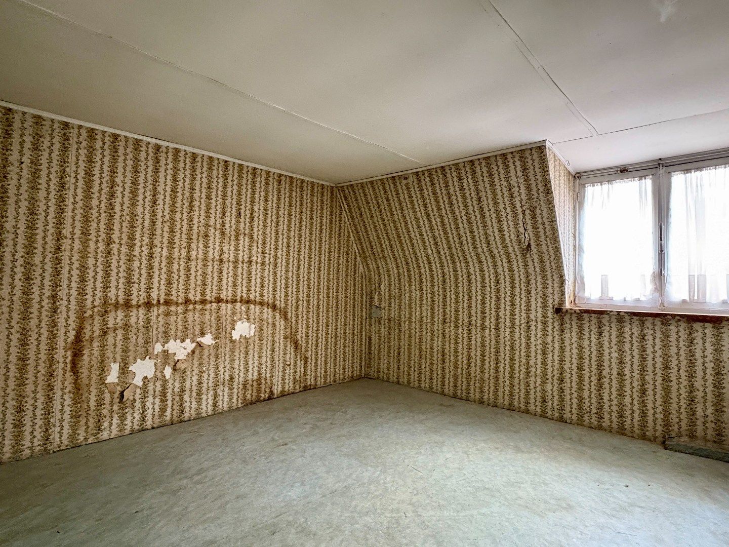 Renovatieproject op 767 m², met garage en uitweg. foto 14