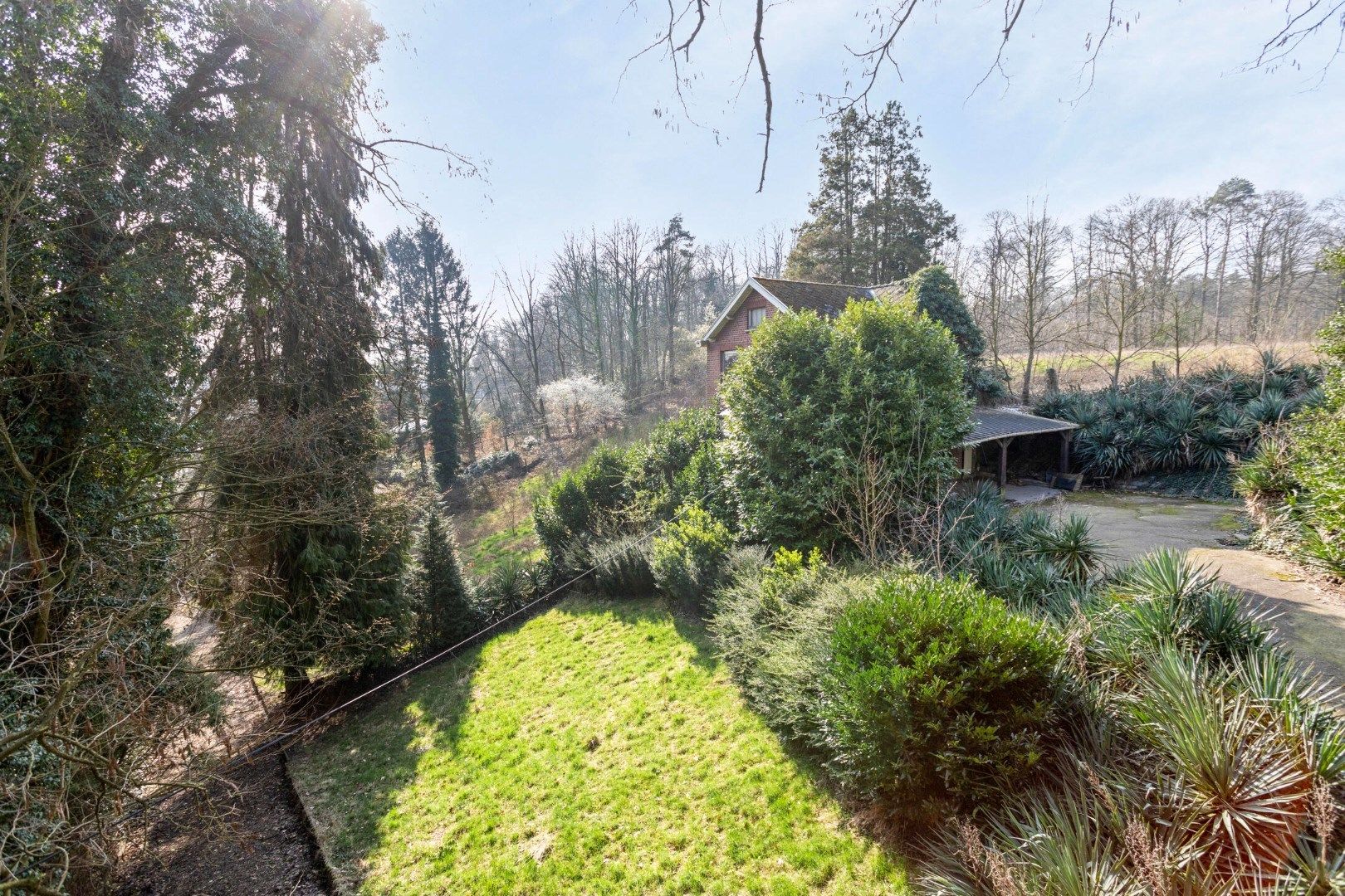 Uniek project: te renoveren woning op een perceel van bijna 1 hectare in Kessel-Lo. foto 5