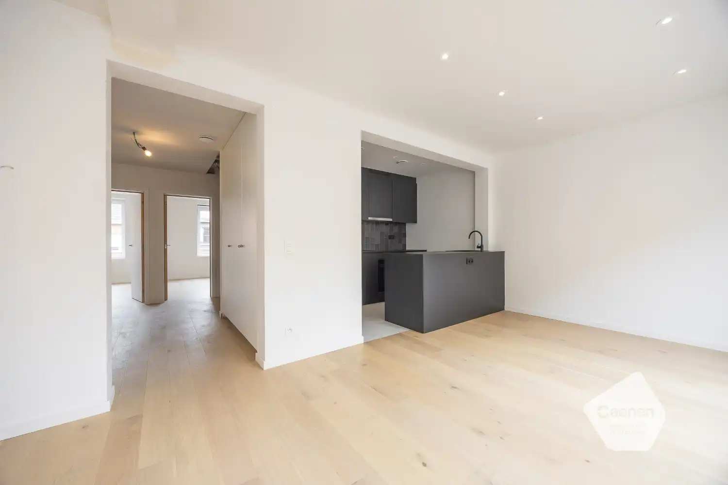 Ruim, gerenoveerde duplex te Mariakerke foto 4