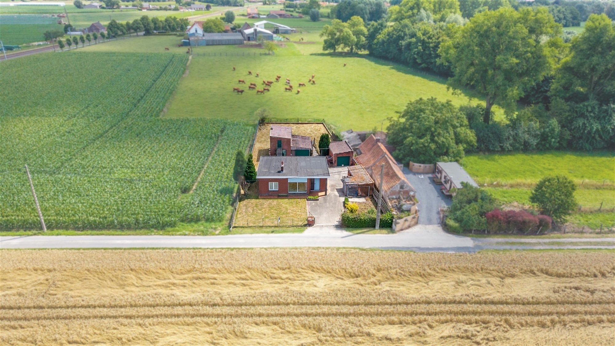 VRIJSTAANDE WONING MET BIJGEBOUWEN OP 913M² TE AARSELE foto 2