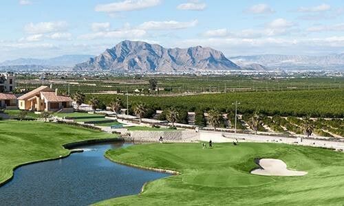 NIEUWBOUW WONINGEN IN LA FINCA GOLF foto 18