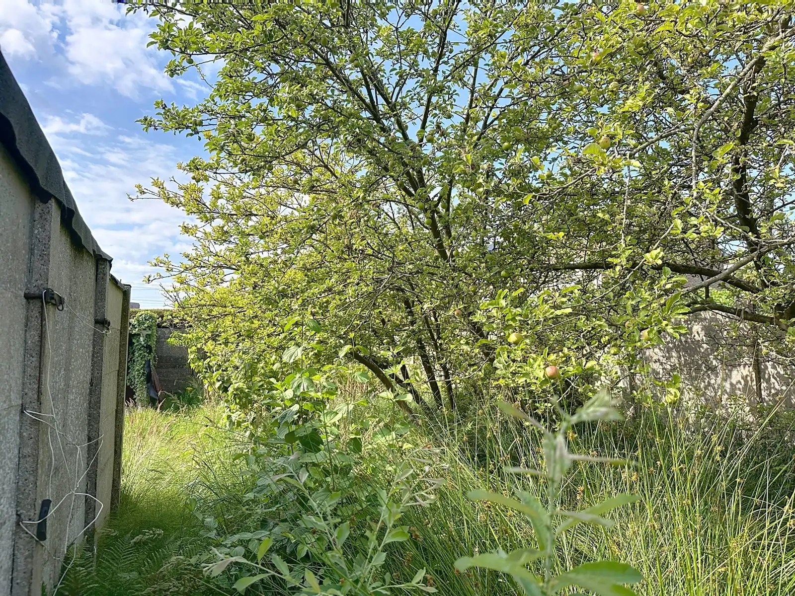 Perceel bouwgrond voor gesloten bebouwing foto 9