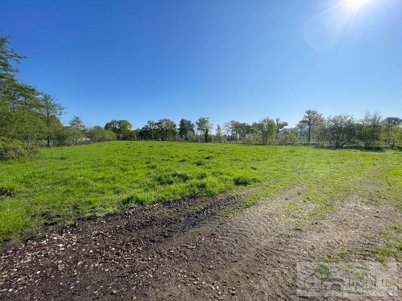 Landelijke woning op 90a85ca - met vergunde stallen foto 37