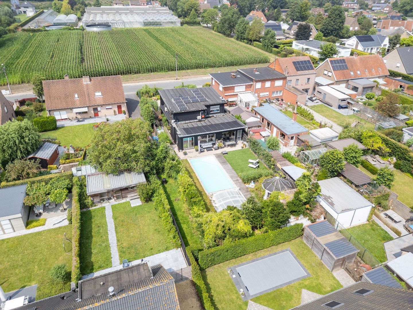 Lichtrijke villa met zwembad op topligging, Torhout foto 2