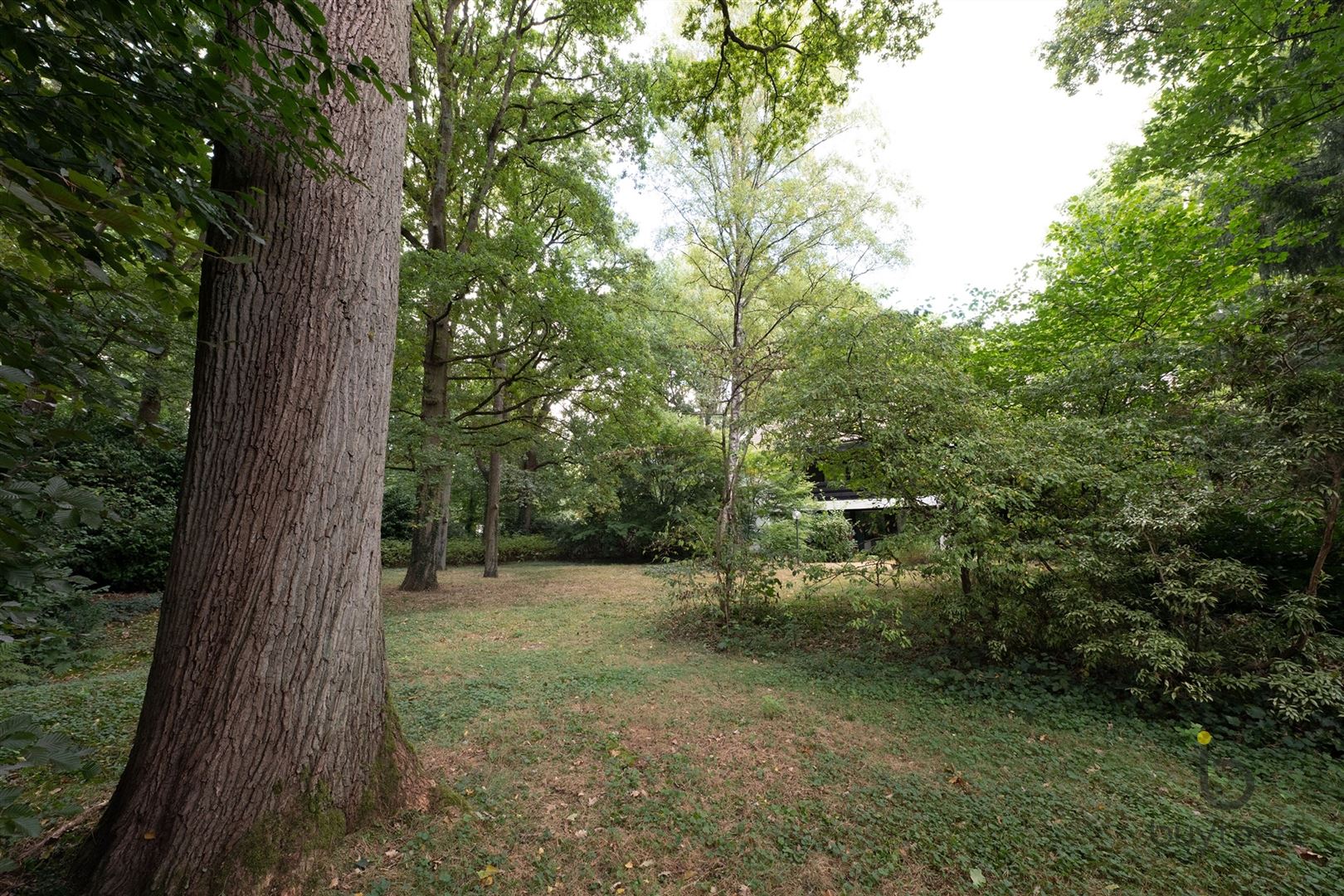 RUIMTE, LICHT ÉN KARAKTER: TE RENOVEREN 70’S VILLA MIDDEN IN HET GROEN! foto 67