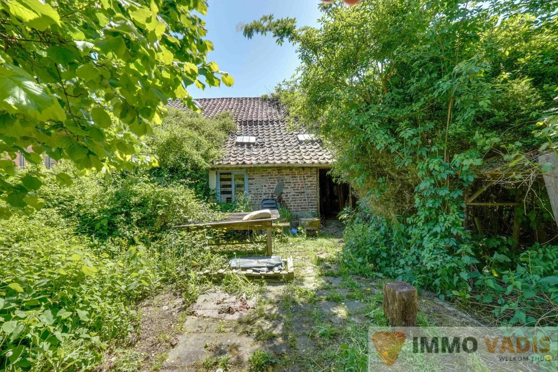 Te renoveren hoeve met binnenkoer en stallingen foto 17