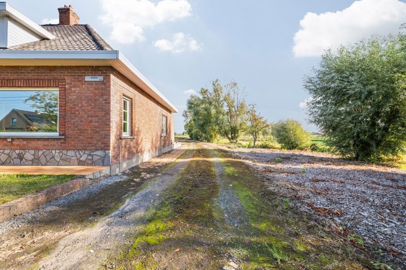 Centrum Sint-Henricus :  Groot perceel op 1876 m² foto 12