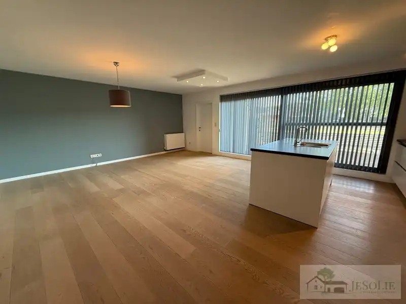 Tiptop verzorgd 2 slpk appartement met groot terras foto 5