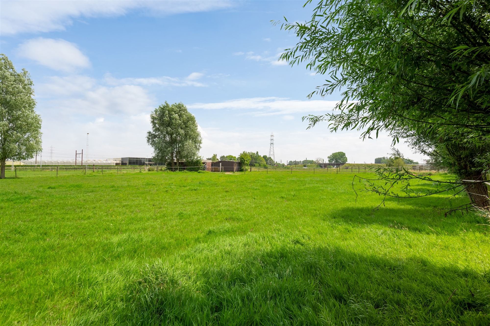 Prachtige paardenweide met stallen en piste foto 24