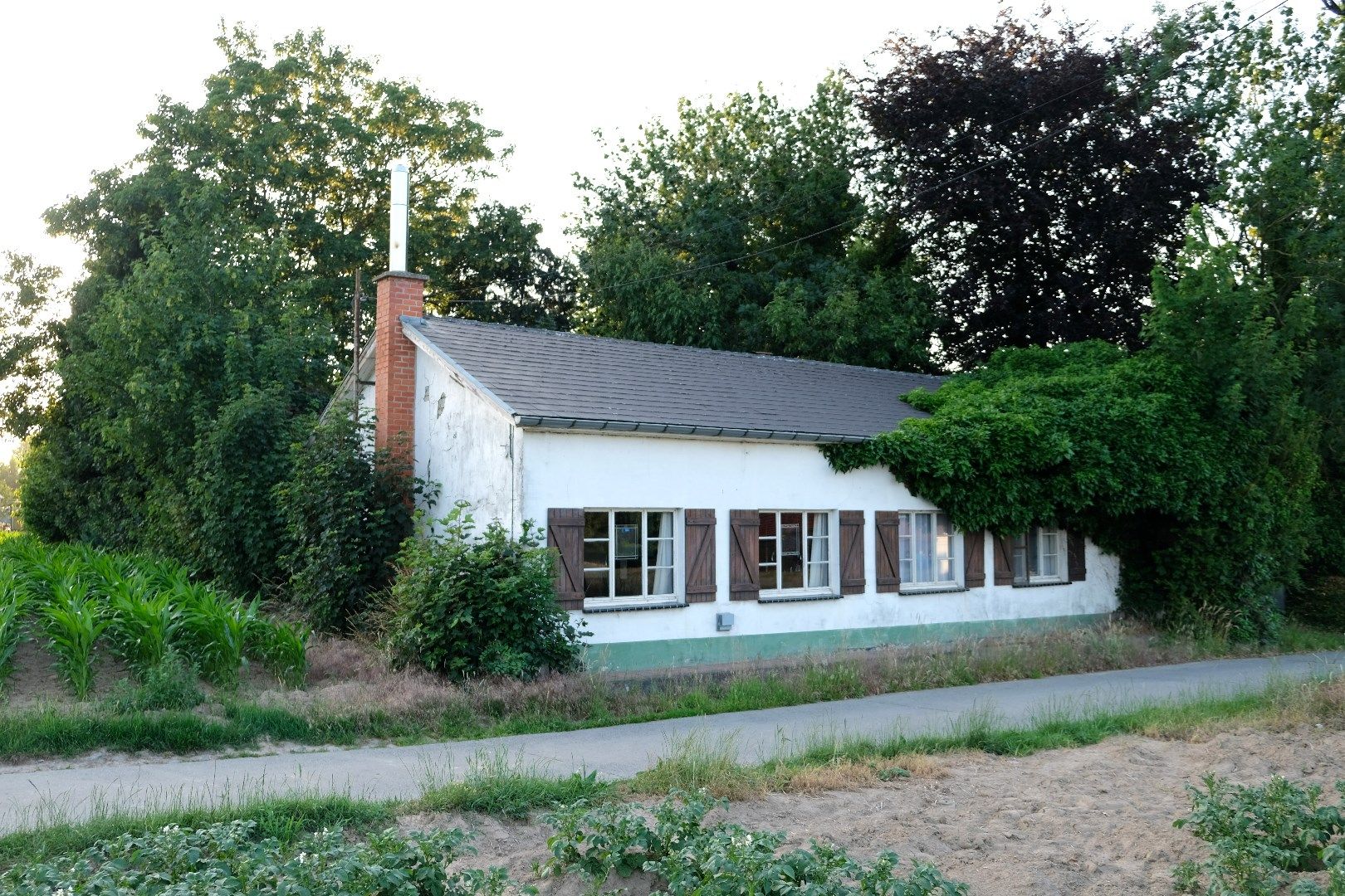 Te renoveren woning op unieke ligging foto {{pictureIndex}}