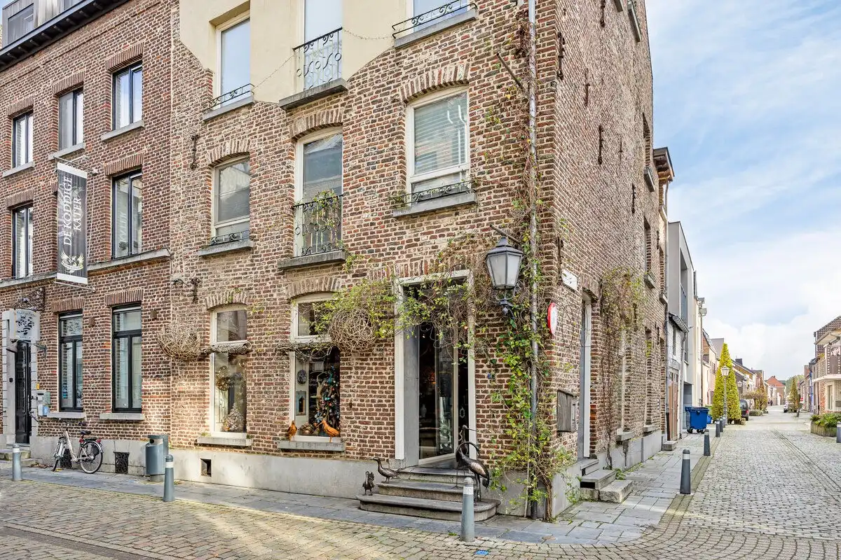 Ruim handelsgelijkvloers in historisch pand in het centrum van Maaseik foto {{pictureIndex}}