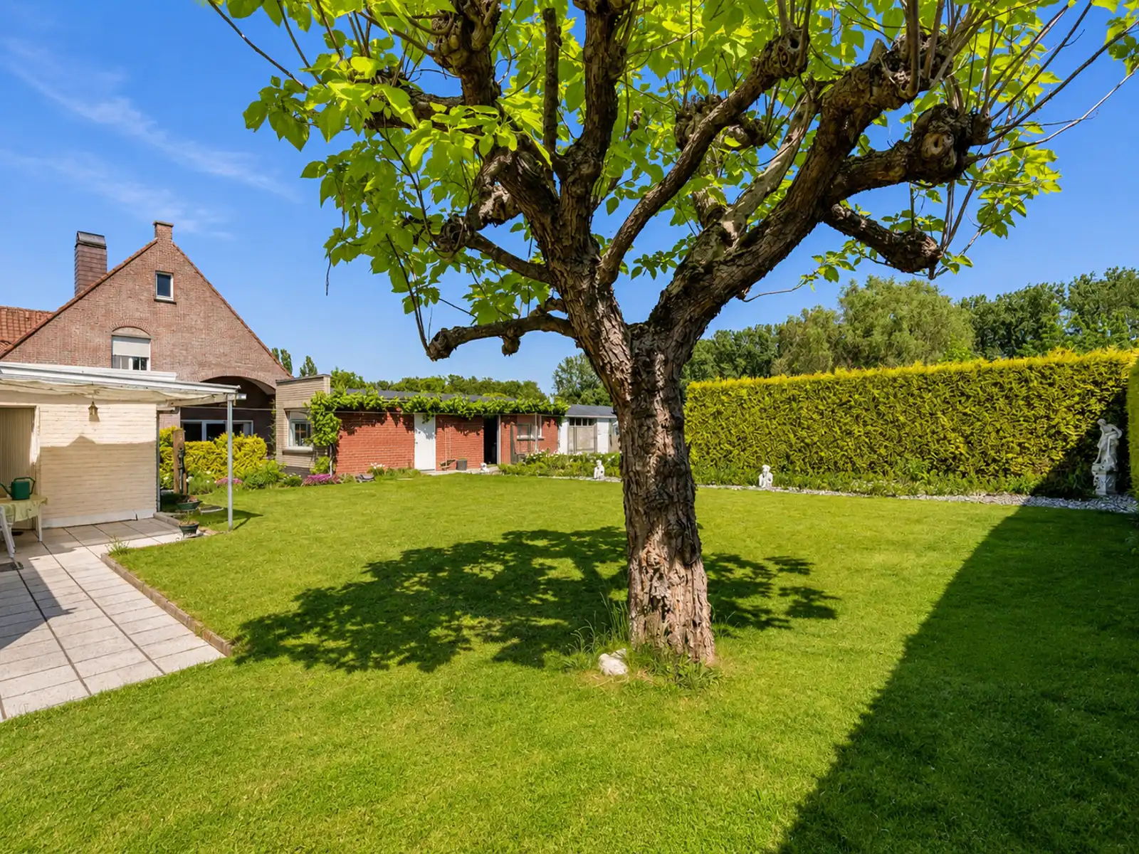 Prachtig gelegen open bebouwing met achterliggende weide foto 19