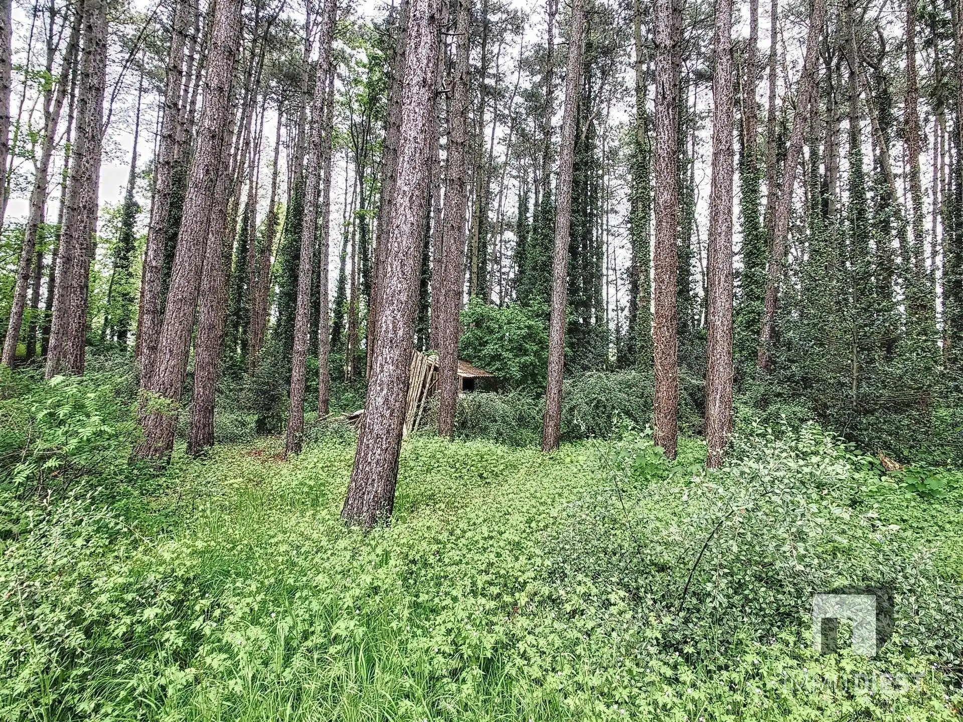 Uitzonderlijke woning in Schaffen foto 42