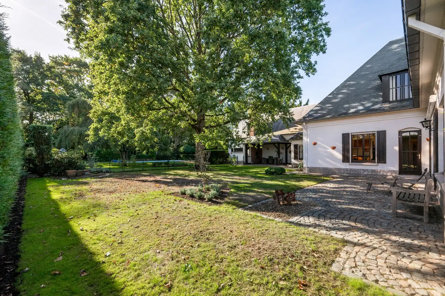 Ruime villa met 5 slpkrs, zwembad en handelsruimte op perceel van 3383m² te Berlaar foto 3