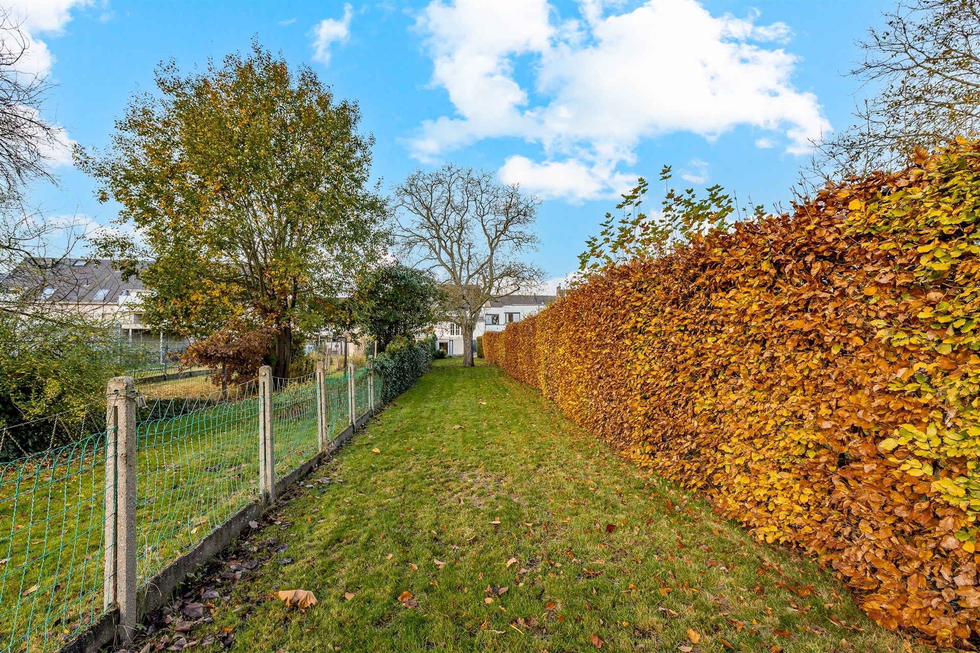 Gezellige rijwoning met uitzonderlijke grote tuin en externe garage in hartje Schellebelle foto 28
