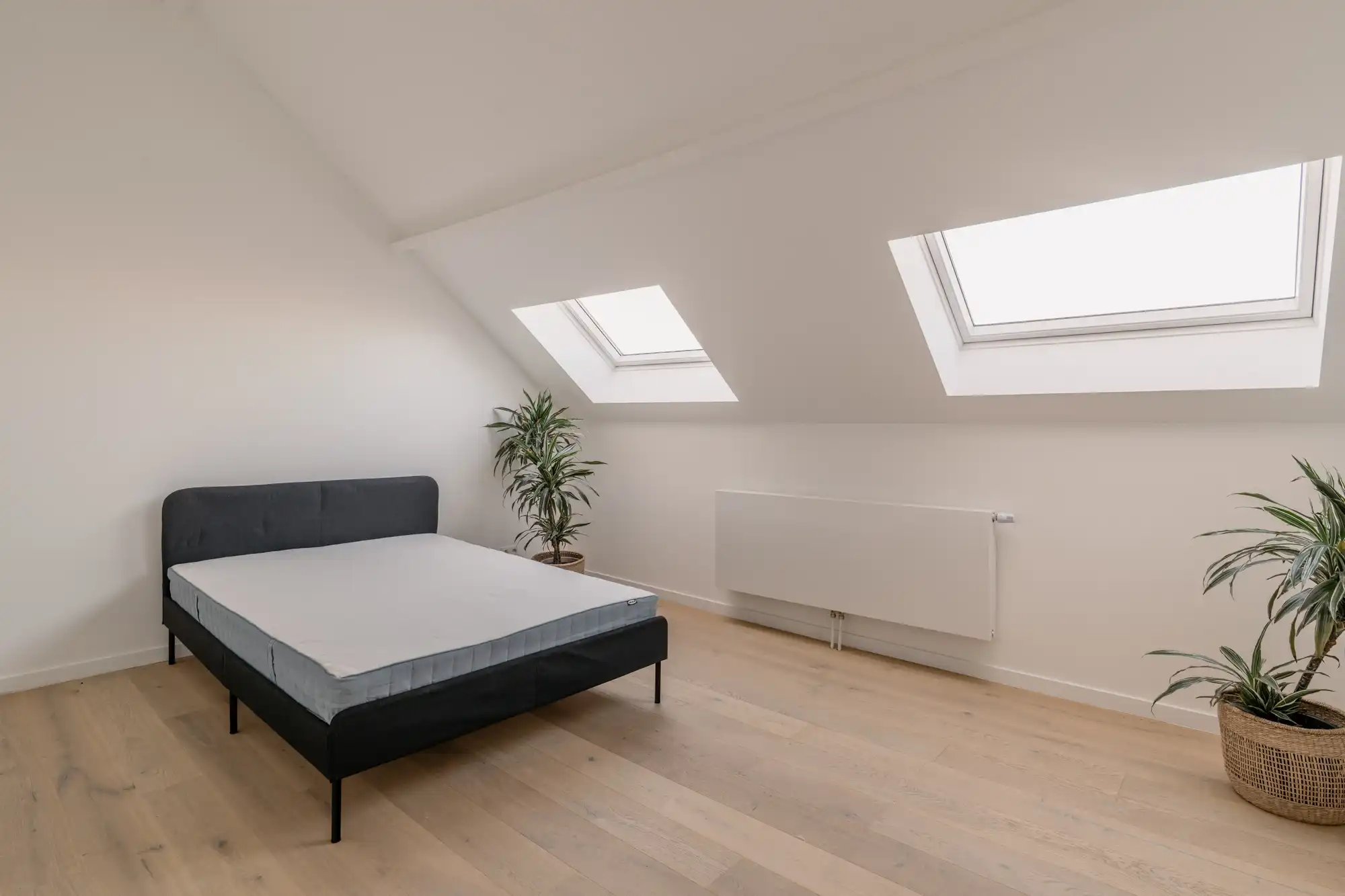 Kwaliteit in de no(c)k… Knock, knock, knockin’ on heaven’s door van dit licht dakappartement nabij de Slachthuiswijk foto 10