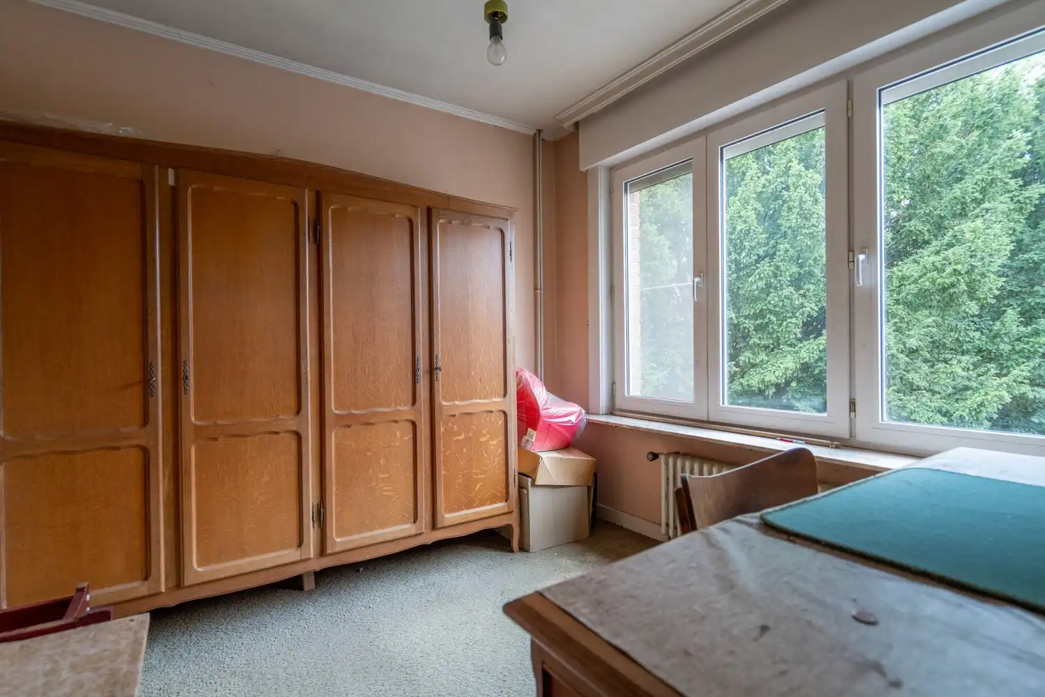 GUL IN BISSEGEM foto 19