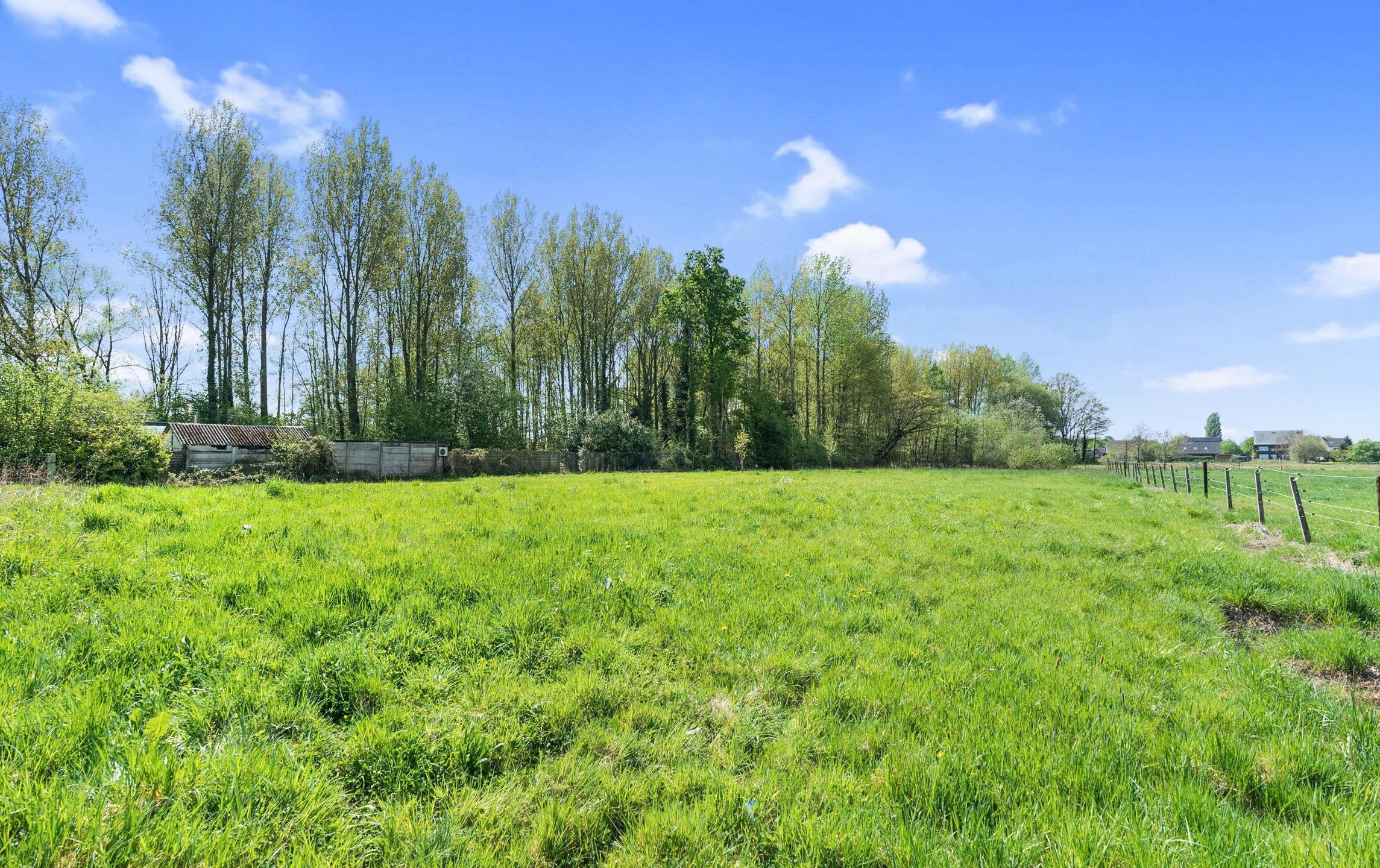WILSELE - Woning met landelijk zicht op 41a foto 17