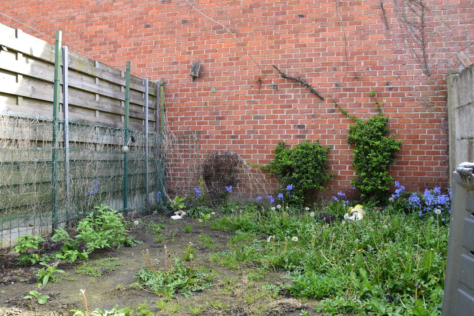 Rijwoning met 3 slaapkamers (mogelijkheid tot meer) en tuin te koop in Menen foto 11